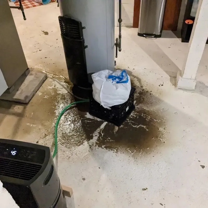 Sewage Backup Cleanup Service in Pointe Coupee Parish, LA